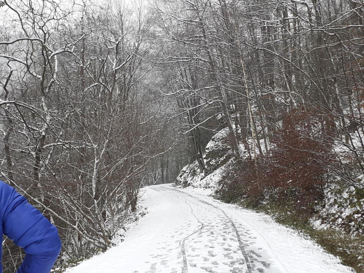 Gite Vallee Et Semoy Tournavaux Kültér fotó